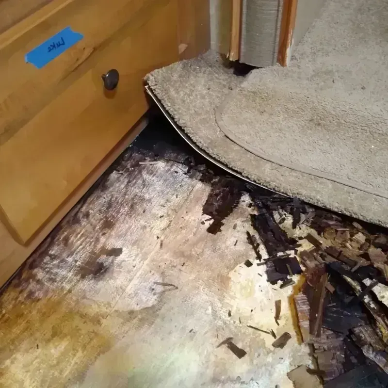 Best Wood Floor Water Damage Service in East Rutherford, NJ